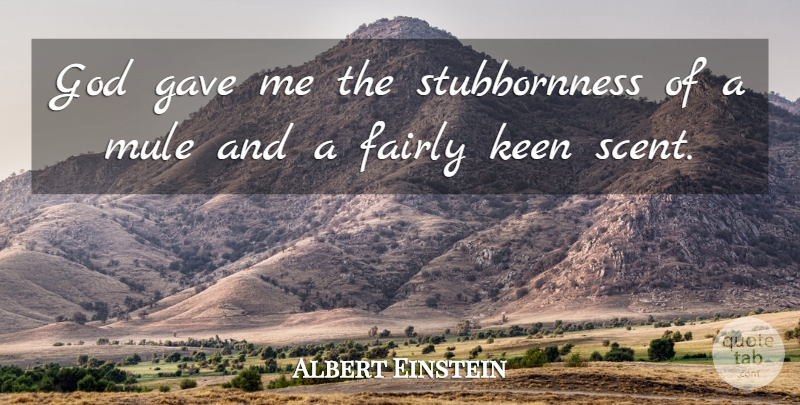 Albert Einstein Quote About Memorable, Scent, Mules: God Gave Me The Stubbornness...