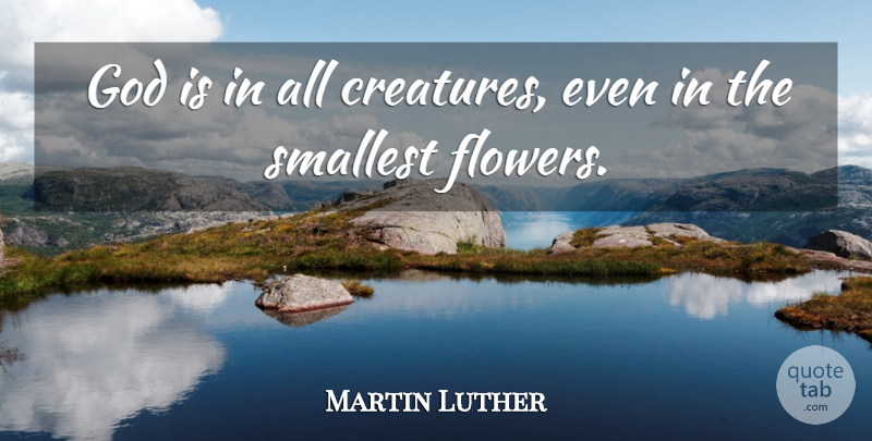 Martin Luther Quote About Flower, Evolution, Smallest: God Is In All Creatures...