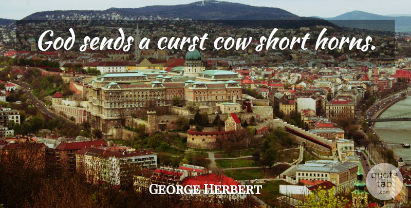 George Herbert Quote About Cows, Horns: God Sends A Curst Cow...