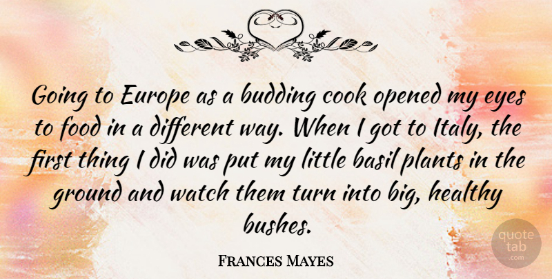 Frances Mayes Quote About Eye, Europe, Healthy: Going To Europe As A...