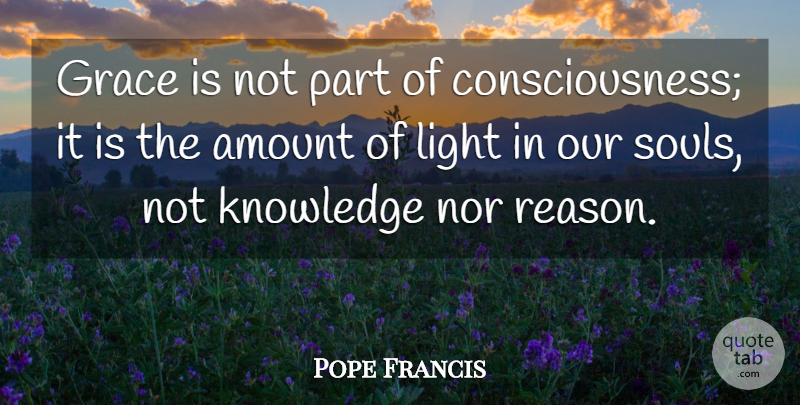 Pope Francis Quote About Light, Soul, Grace: Grace Is Not Part Of...