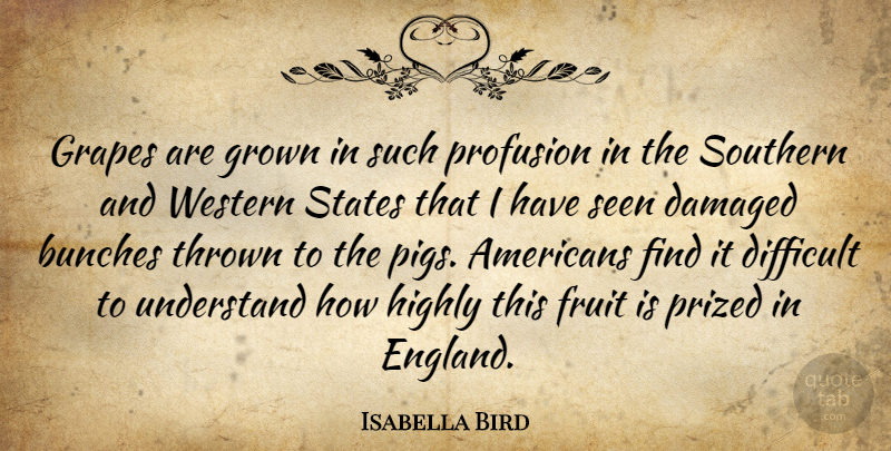 Isabella Bird Quote About Damaged, Grapes, Grown, Highly, Prized: Grapes Are Grown In Such...