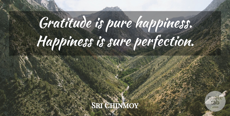 Sri Chinmoy Quote About Gratitude, Perfection, Pure Happiness: Gratitude Is Pure Happiness Happiness...