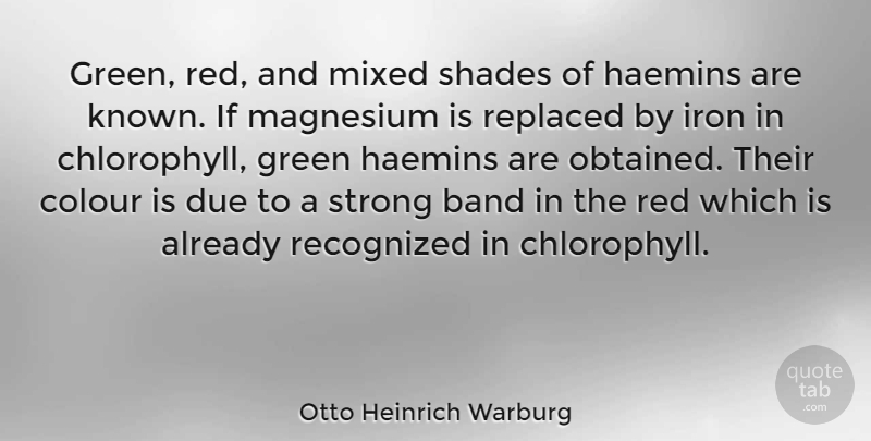 Otto Heinrich Warburg Quote About Band, Colour, Due, Iron, Mixed: Green Red And Mixed Shades...