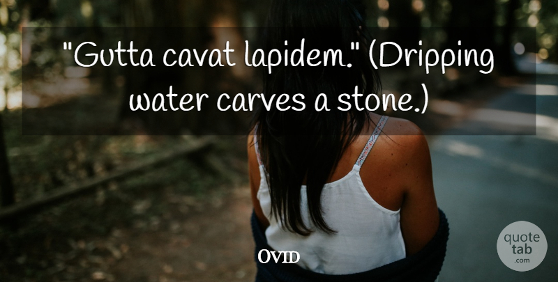 Ovid Quote About Water, Stones, Dripping Water: Gutta Cavat Lapidem Dripping Water...