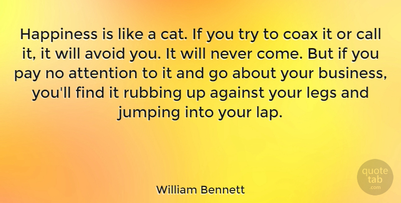 William Bennett Quote About Against, Attention, Avoid, Call, Happiness: Happiness Is Like A Cat...