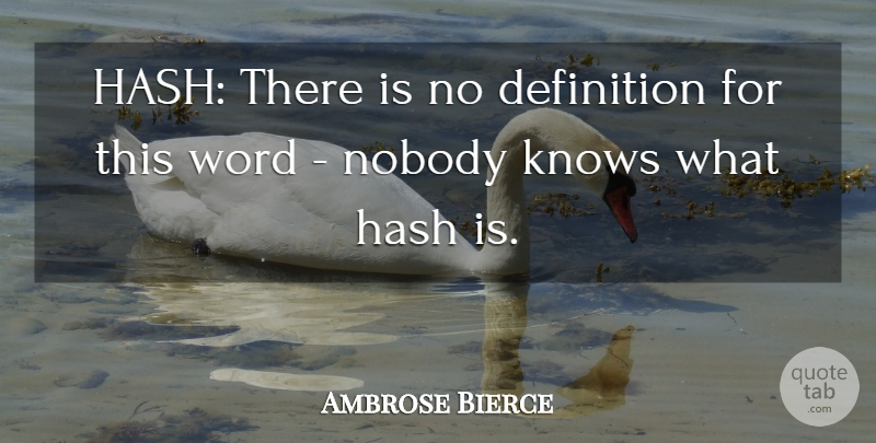 Ambrose Bierce Quote About Definitions, Culinary, Literary Devices: Hash There Is No Definition...