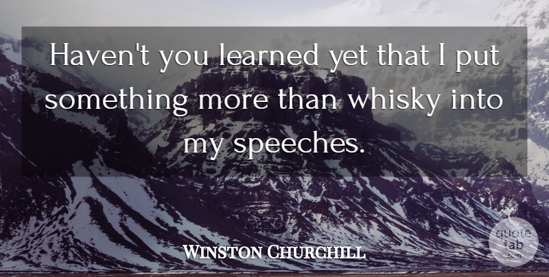 Winston Churchill Quote About Speech, Whisky, Havens: Havent You Learned Yet That...
