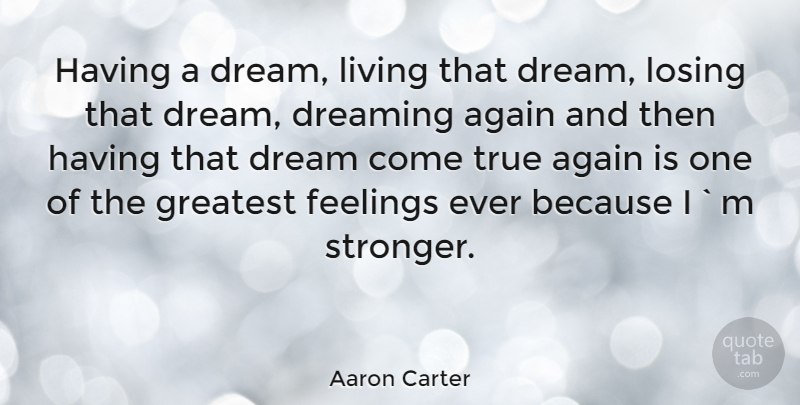 Aaron Carter Quote About Dream, New Year, Feelings: Having A Dream Living That...