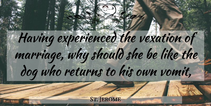 St. Jerome Quote About Dog, Marriage, Returns: Having Experienced The Vexation Of...