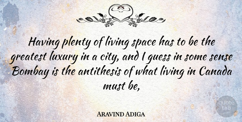 Aravind Adiga Quote About Cities, Luxury, Space: Having Plenty Of Living Space...