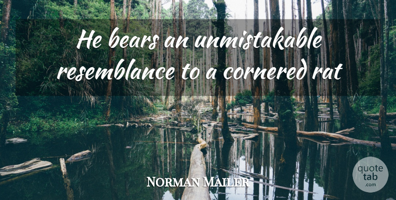 Norman Mailer Quote About Bears, Cornered, Rat: He Bears An Unmistakable Resemblance...