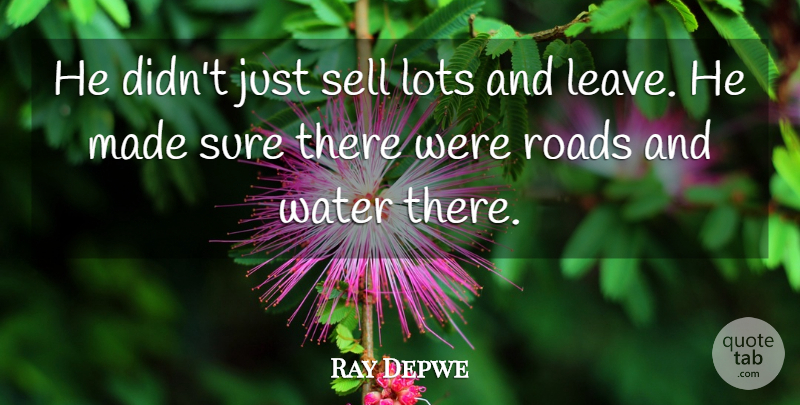 Ray Depwe Quote About Lots, Roads, Sell, Sure, Water: He Didnt Just Sell Lots...