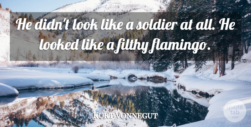 Kurt Vonnegut Quote About Soldier, Looks, Flamingos: He Didnt Look Like A...