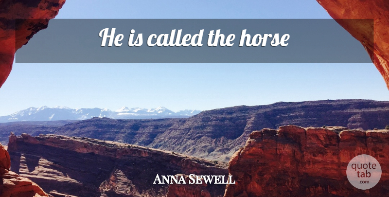 Anna Sewell Quote About Horse: He Is Called The Horse...