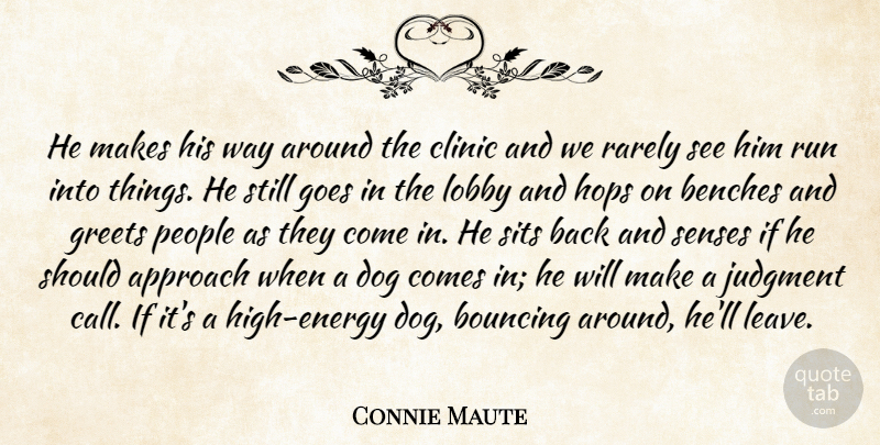 Connie Maute Quote About Approach, Benches, Bouncing, Clinic, Dog: He Makes His Way Around...