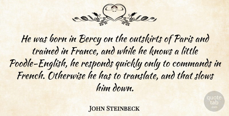 John Steinbeck Quote About Dog, Paris, Poodles: He Was Born In Bercy...