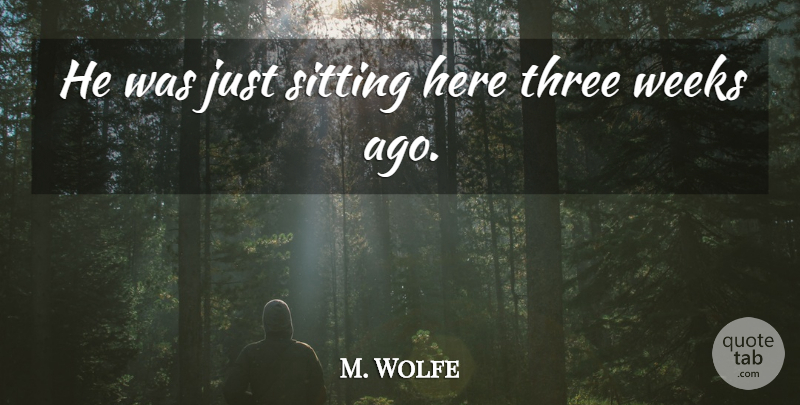 M. Wolfe Quote About Sitting, Three, Weeks: He Was Just Sitting Here...