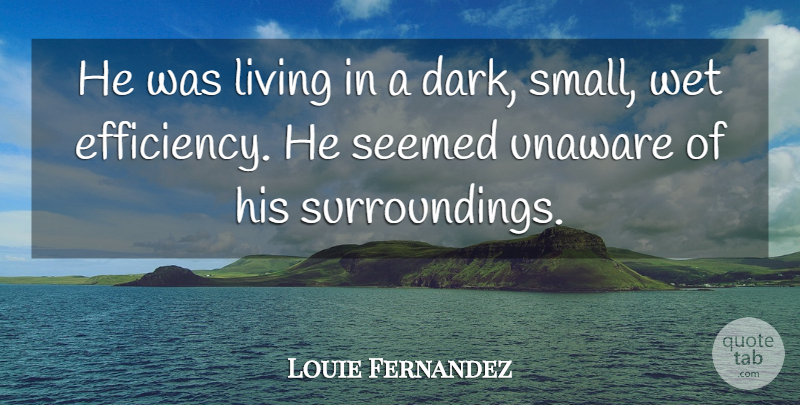 Louie Fernandez Quote About Living, Seemed, Unaware, Wet: He Was Living In A...