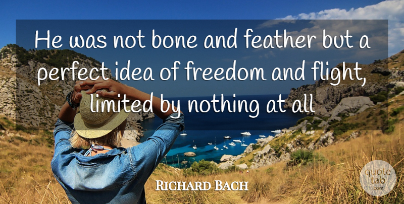 Richard Bach Quote About Ideas, Perfect, Jonathan Livingston Seagull: He Was Not Bone And...