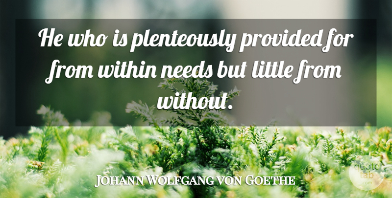 Johann Wolfgang von Goethe Quote About Being Strong, Littles, Needs: He Who Is Plenteously Provided...