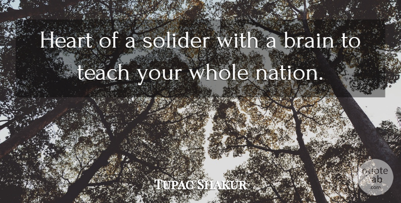 Tupac Shakur Quote About Heart, Rapper, Brain: Heart Of A Solider With...
