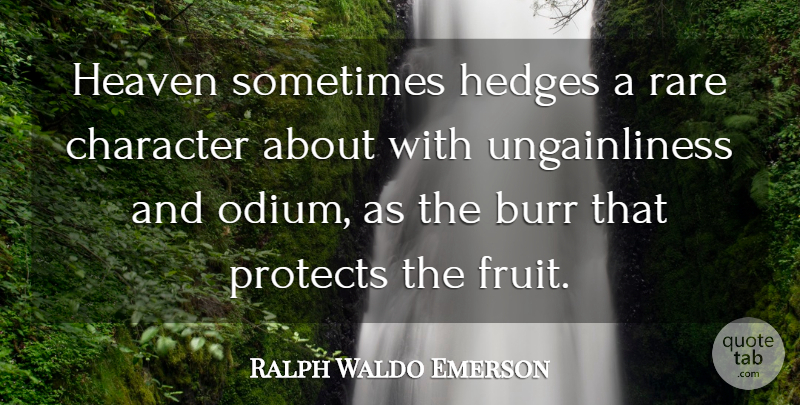 Ralph Waldo Emerson Quote About Character, Heaven, Fruit: Heaven Sometimes Hedges A Rare...
