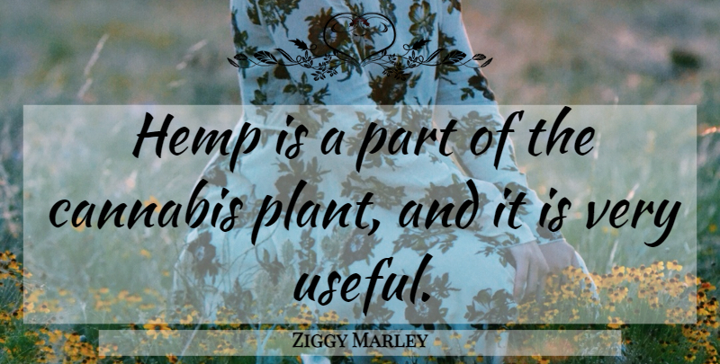 Ziggy Marley Quote About Hemp, Plant, Cannabis: Hemp Is A Part Of...