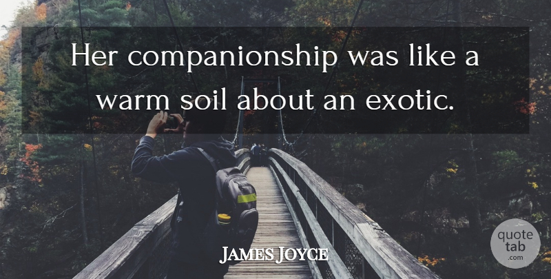James Joyce Quote About Soil, Warm: Her Companionship Was Like A...