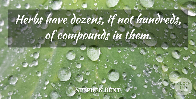 Stephen Bent Quote About Herbs: Herbs Have Dozens If Not...