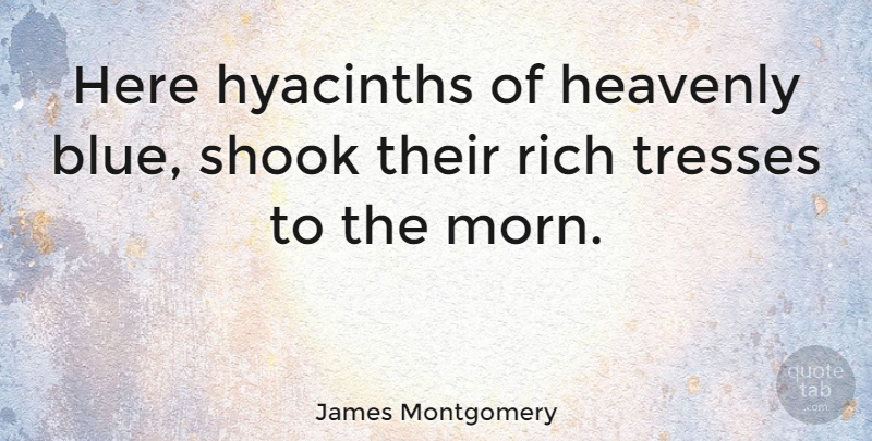 James Montgomery Quote About Eye, Blue, Hyacinths: Here Hyacinths Of Heavenly Blue...
