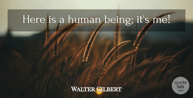 Walter Gilbert Quote About Humans, Human Beings: Here Is A Human Being...