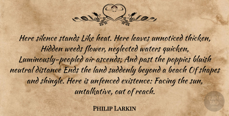 Philip Larkin Quote About Weed, Beach, Distance: Here Silence Stands Like Heat...