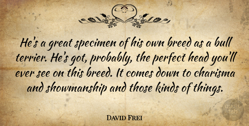 David Frei Quote About Breed, Bull, Charisma, Great, Head: Hes A Great Specimen Of...