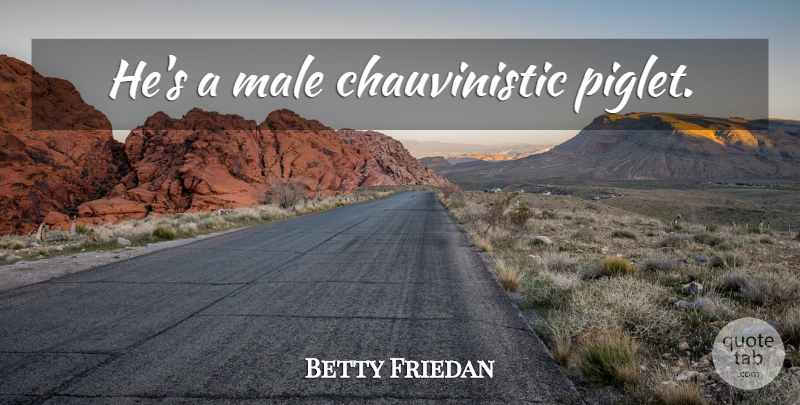 Betty Friedan Quote About Piglet, Males, Insult: Hes A Male Chauvinistic Piglet...