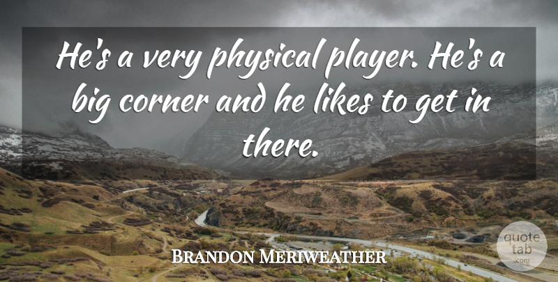 Brandon Meriweather Quote About Corner, Likes, Physical: Hes A Very Physical Player...