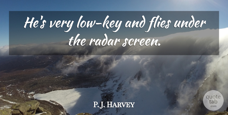 P. J. Harvey Quote About Flies, Radar: Hes Very Low Key And...