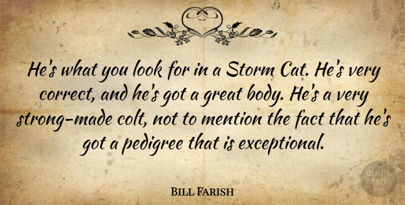 Bill Farish Quote About Fact, Great, Mention, Pedigree, Storm: Hes What You Look For...