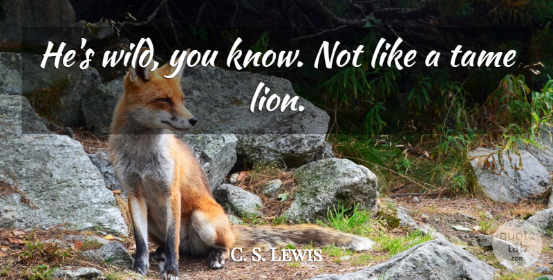 C. S. Lewis Quote About Lions, Narnia, Lion The Witch And The Wardrobe: Hes Wild You Know Not...