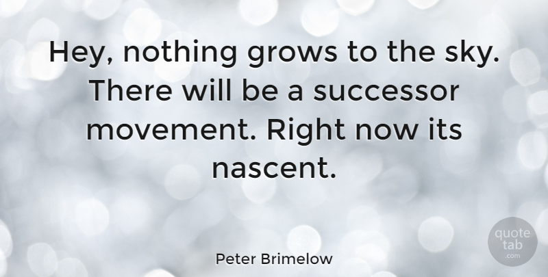 Peter Brimelow Quote About Sky, Movement, Hey: Hey Nothing Grows To The...