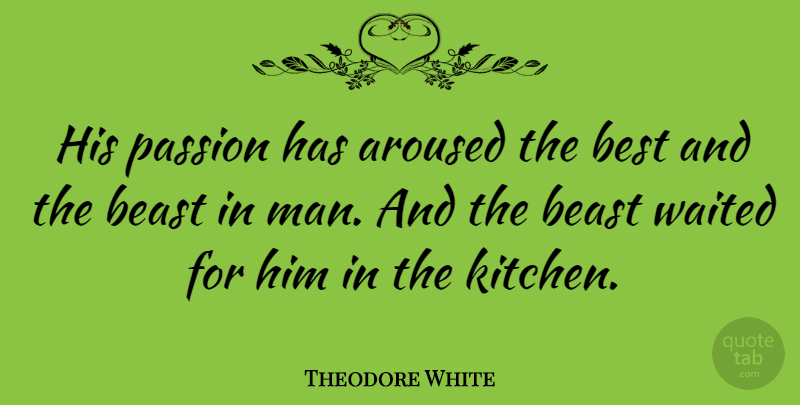 Theodore White Quote About American Journalist, Aroused, Beast, Best, Passion: His Passion Has Aroused The...