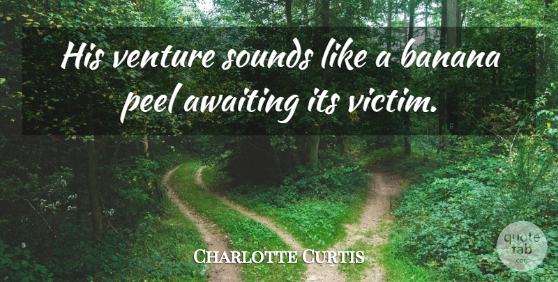Charlotte Curtis Quote About English Novelist, Peel, Sounds: His Venture Sounds Like A...