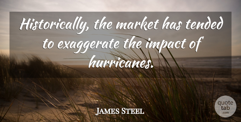 James Steel Quote About Exaggerate, Impact, Market: Historically The Market Has Tended...
