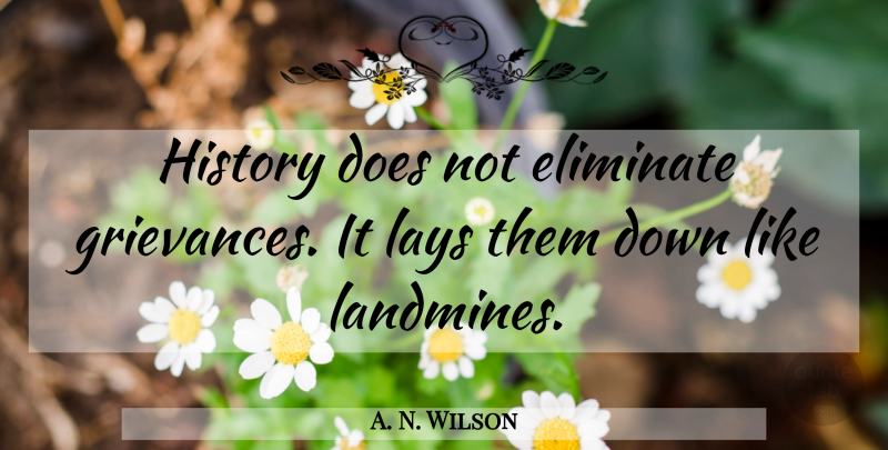 A. N. Wilson Quote About History, Doe, Grievance: History Does Not Eliminate Grievances...