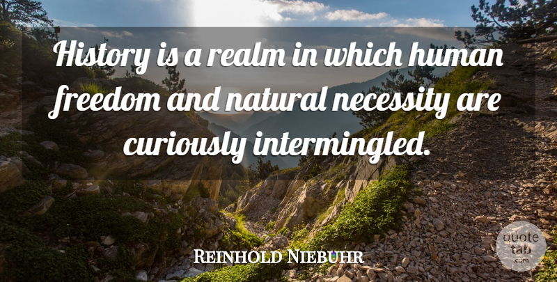 Reinhold Niebuhr Quote About Natural, Realms, Humans: History Is A Realm In...