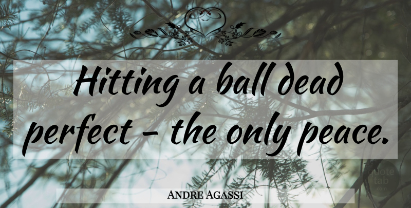 Andre Agassi Quote About Perfect, Hitting, Balls: Hitting A Ball Dead Perfect...