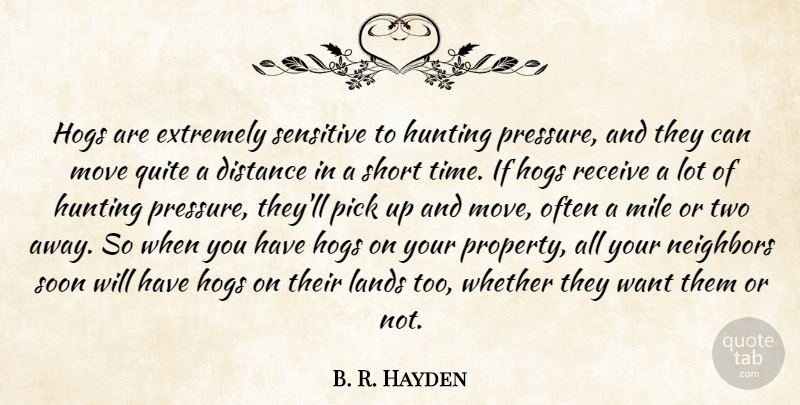 B. R. Hayden Quote About Distance, Extremely, Hogs, Hunting, Lands: Hogs Are Extremely Sensitive To...