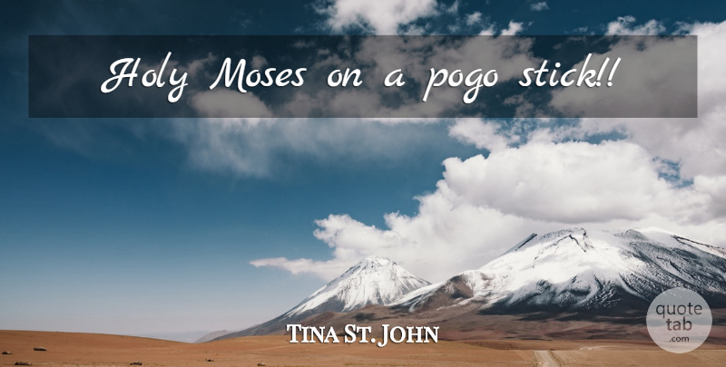 Tina St. John Quote About Sticks, Pogo Sticks, Holy: Holy Moses On A Pogo...