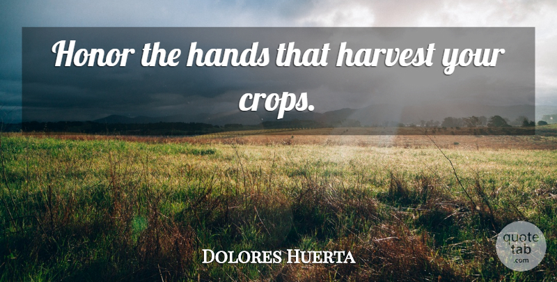 Dolores Huerta Quote About Hands, Honor, Harvest: Honor The Hands That Harvest...