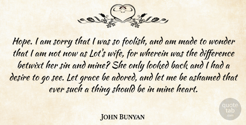 John Bunyan Quote About Ashamed, Desire, Difference, Grace, Looked: Hope I Am Sorry That...